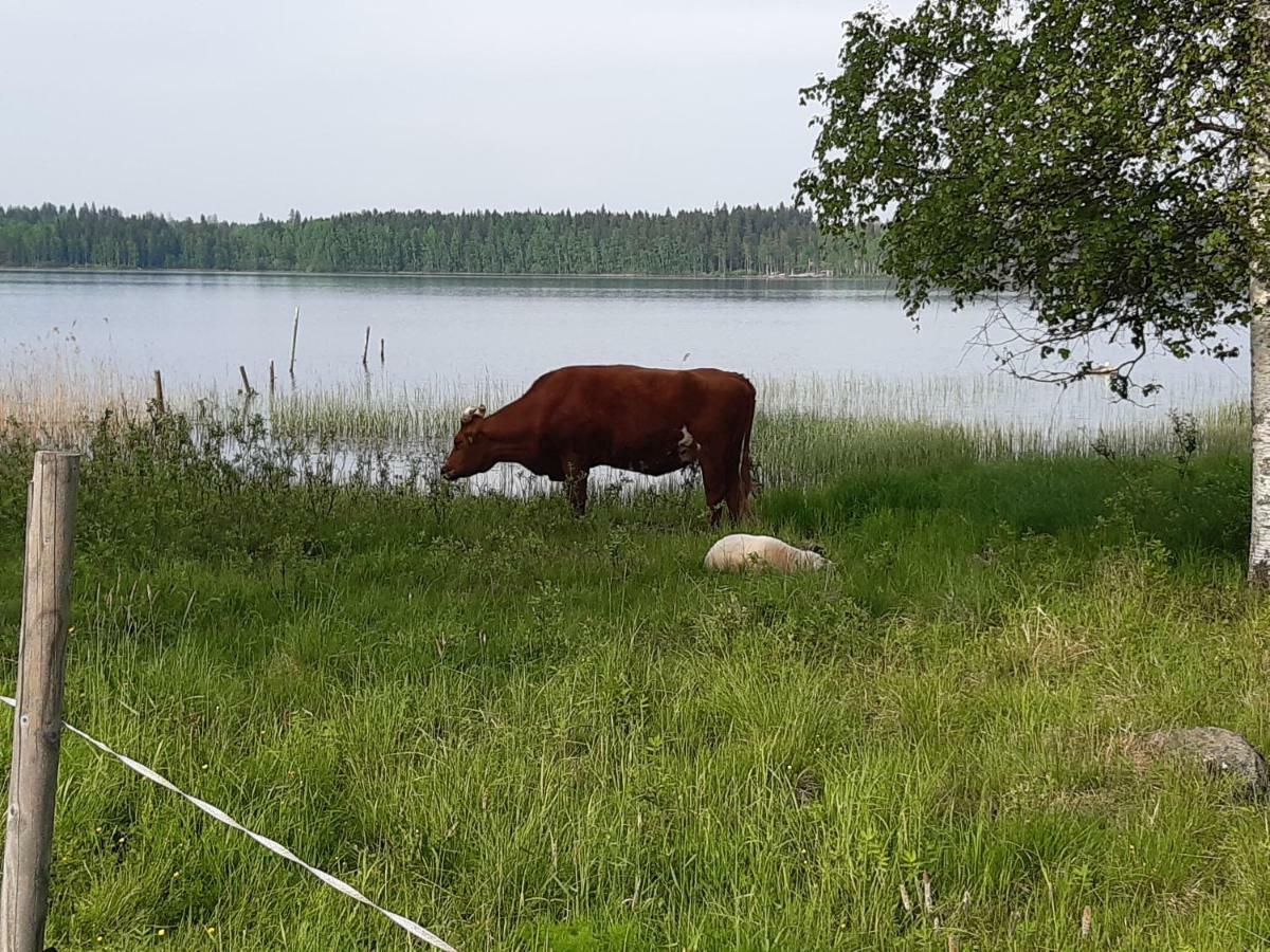 Hyvoelaen Moekit Villa Ähtäri Buitenkant foto